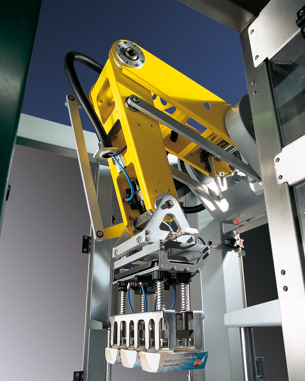 Apsol (Goito, Italy) are renowned for their end of line machinery, such as robots, case packers, pal...